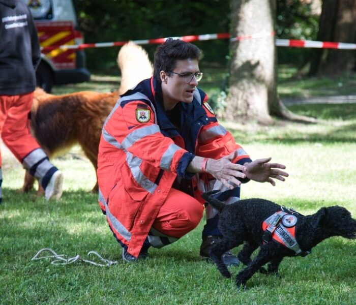 Barney wird zur Suche geschickt