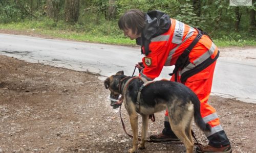 Mantrailer Tüte Geruch vom Opfer aufnehmen